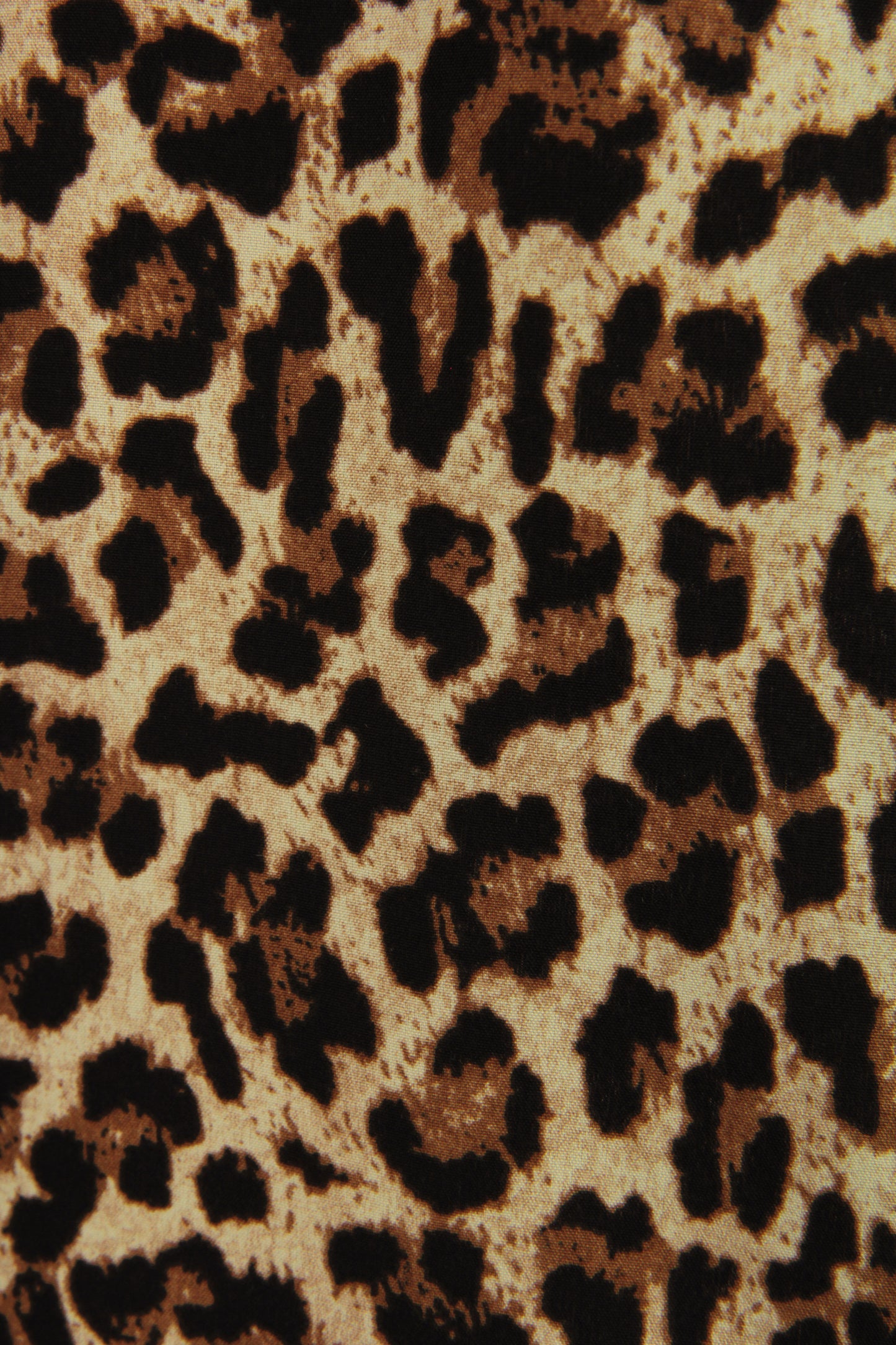 Leopard Print Palazzo Trouser