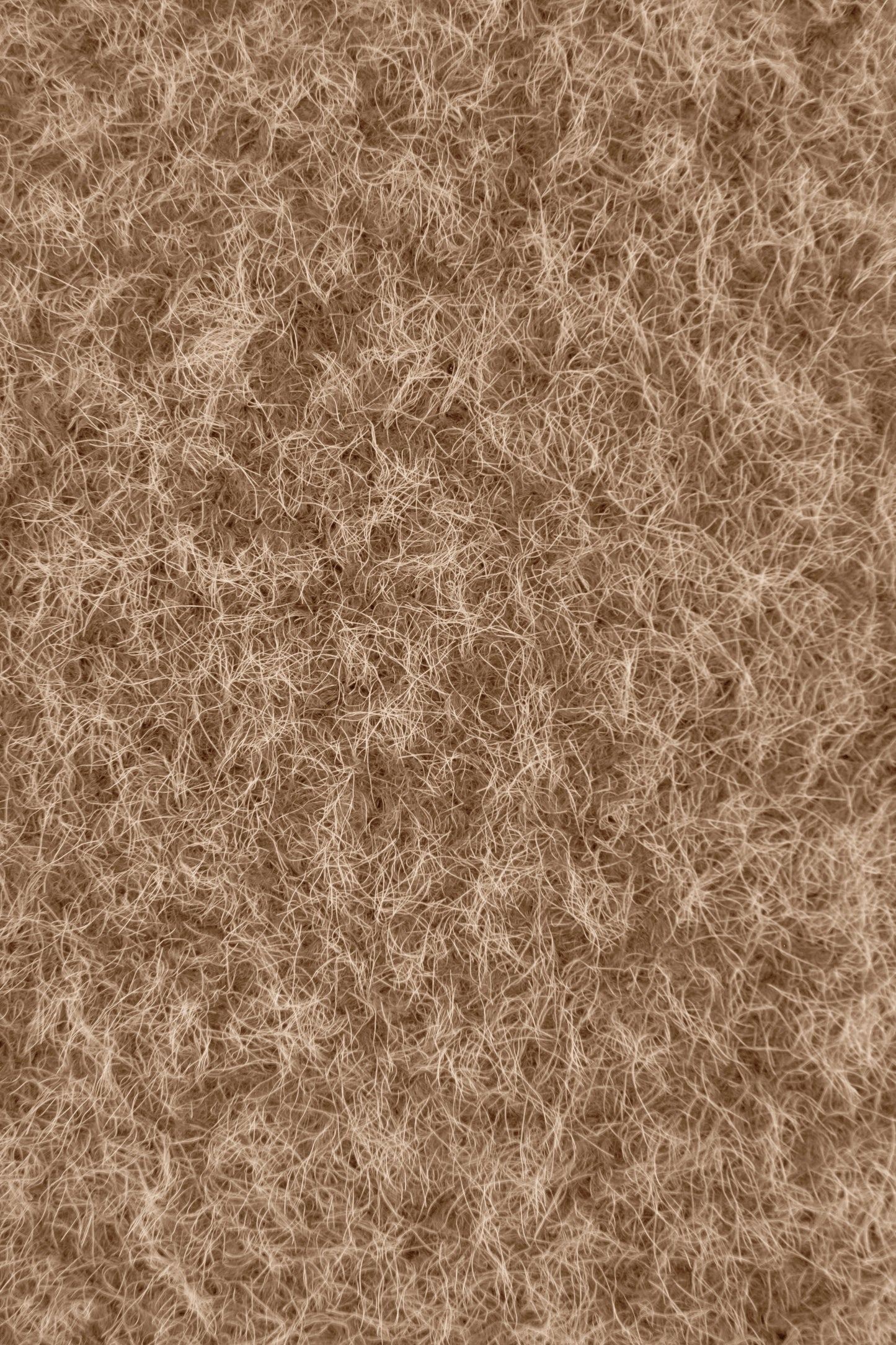Textured Coat