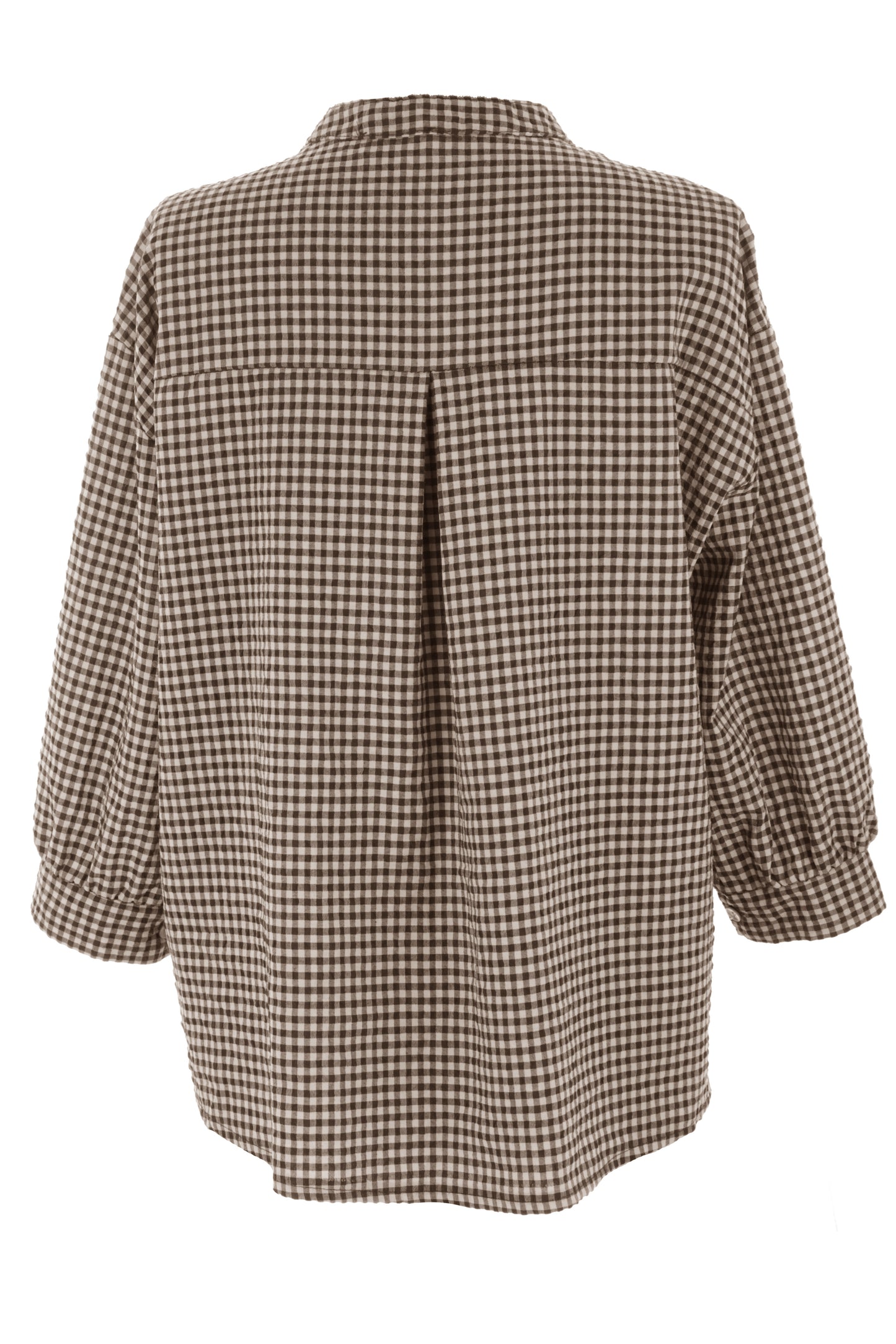Gingham Shirt