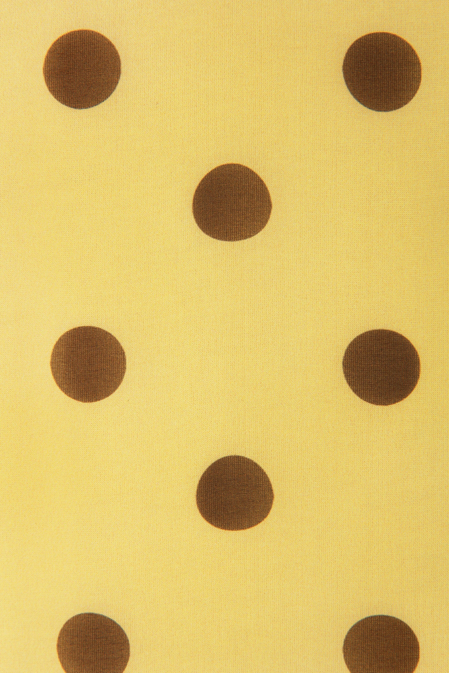 Polka Dot Flowy Silk Top