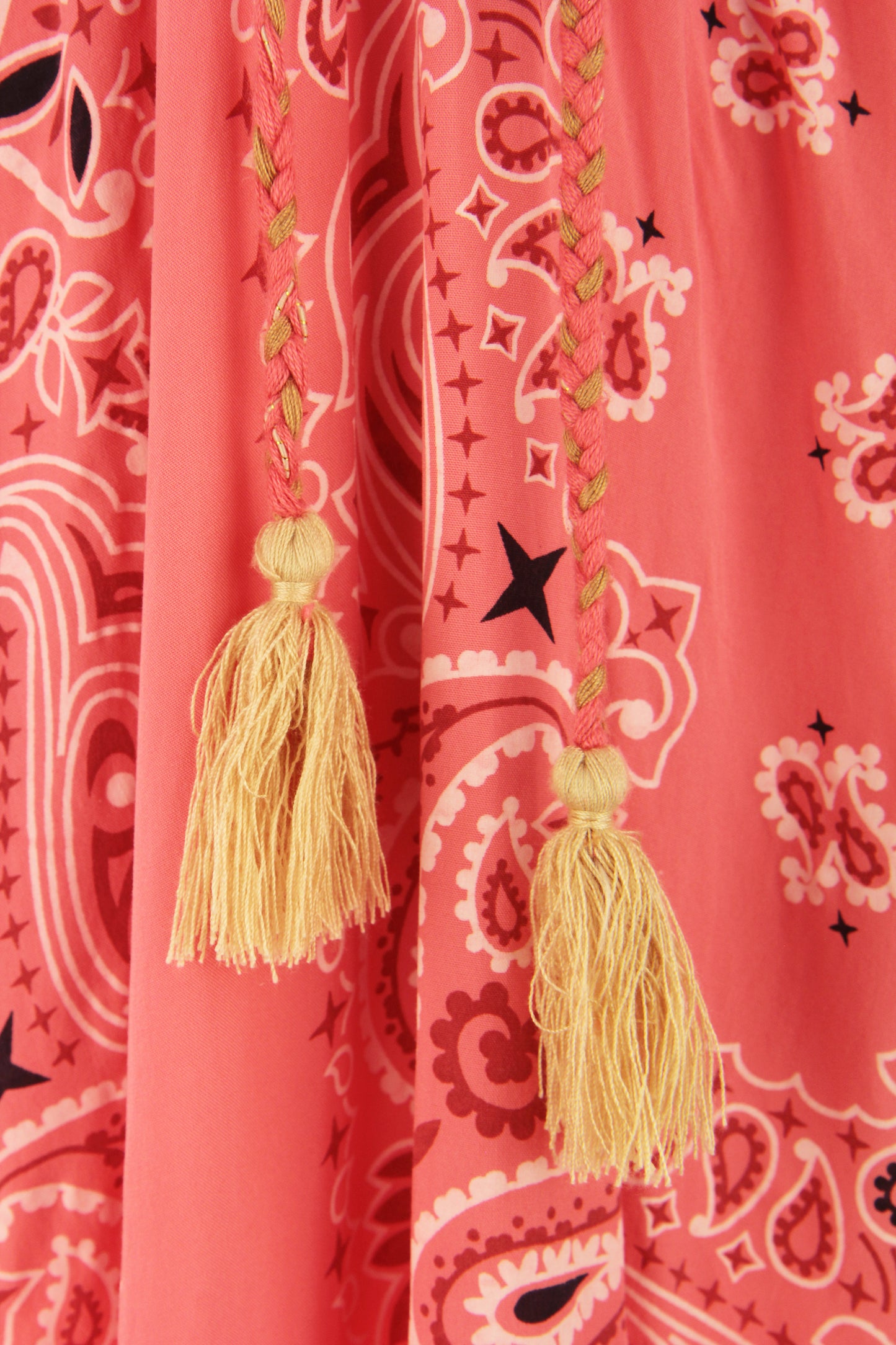 V Neck Paisley Print Midi Dress