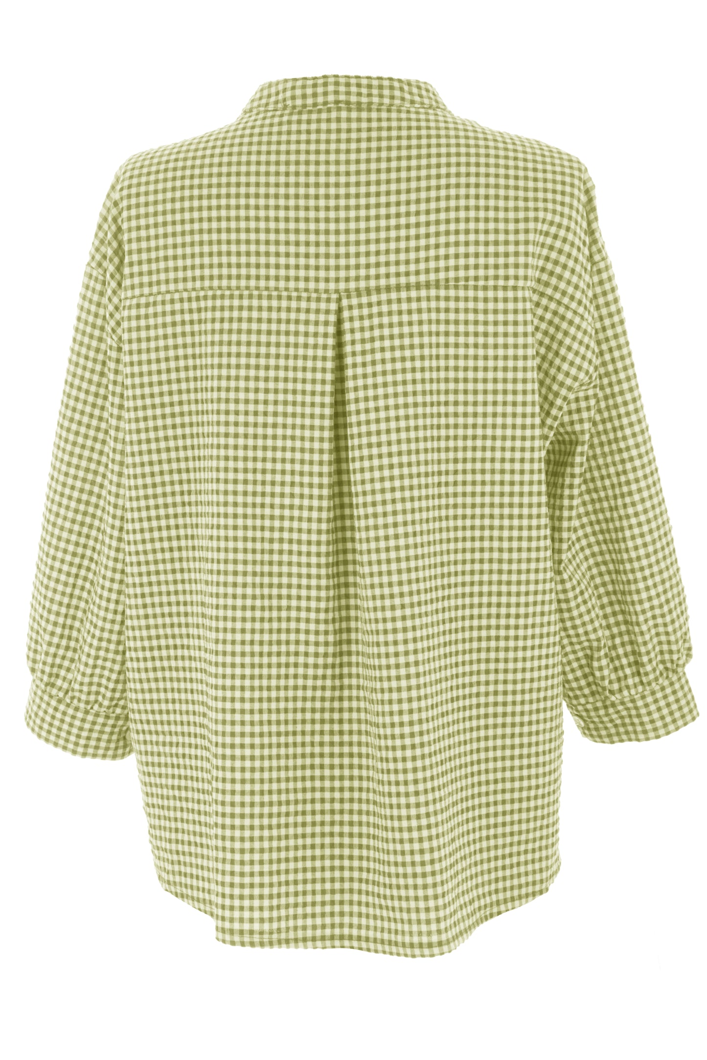 Gingham Shirt