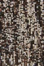 Load image into Gallery viewer, Sleeveless Sequin Top
